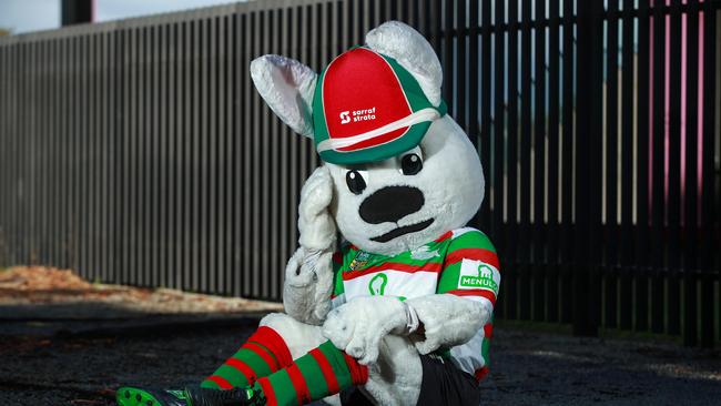 Reggie Rabbit has also been shutout of Redfern Oval due to the coronavirus crisis. Picture: Justin Lloyd