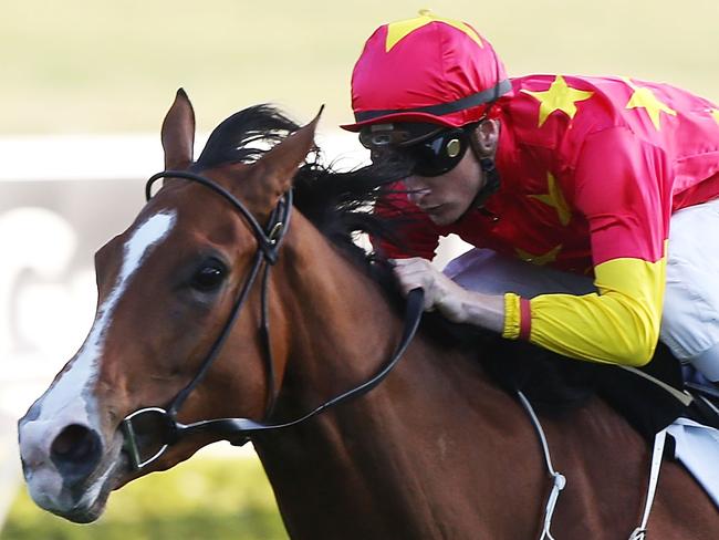 SYDNEY, AUSTRALIA - OCTOBER 04: Blake Shinn rides First Seal to win the Coolmore Flight Stakes during Sydney Racing at Royal Randwick Racecourse on October 4, 2014 in Sydney, Australia. (Photo by Anthony Johnson/Getty Images)