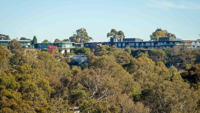 Kew’s Yarra Boulevard has been cast as a match for the Hollywood Hills. Picture: Mark Stewart