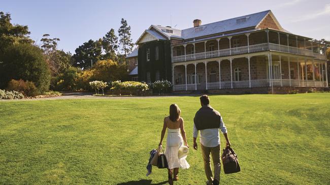 Clare Valley wine travel tourism and camping highlights The