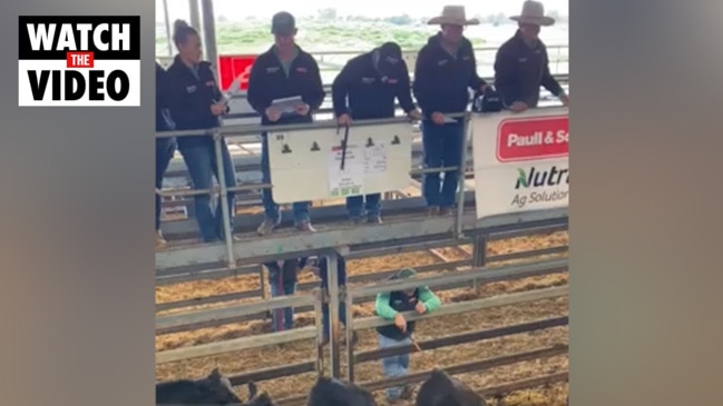 Action from the Wodonga sales