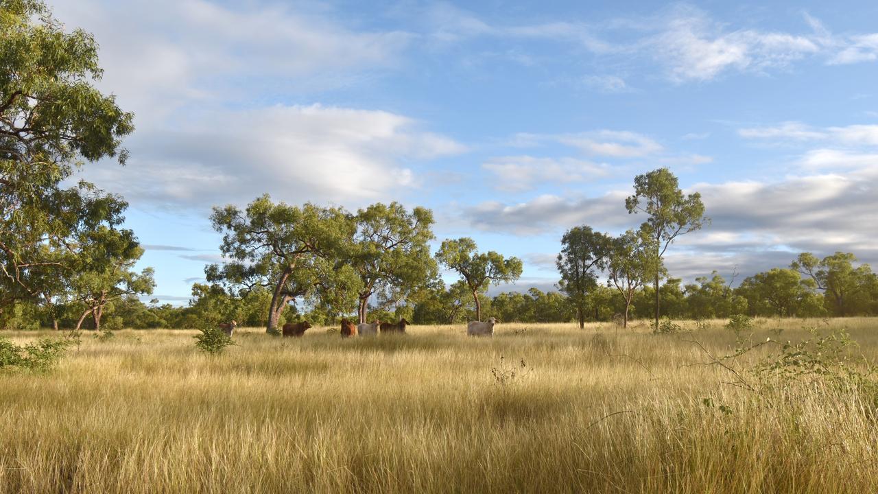 The Portfolio’s Fairfield Aggregation was sold between six buyers last year, with the seven-farm aggregation fetching more than $150m in total.
