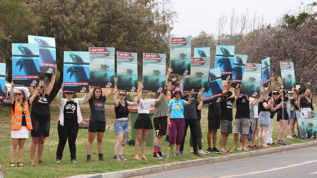 Animal Rights protestors opposite Sea World. Picture: Mike Batterham