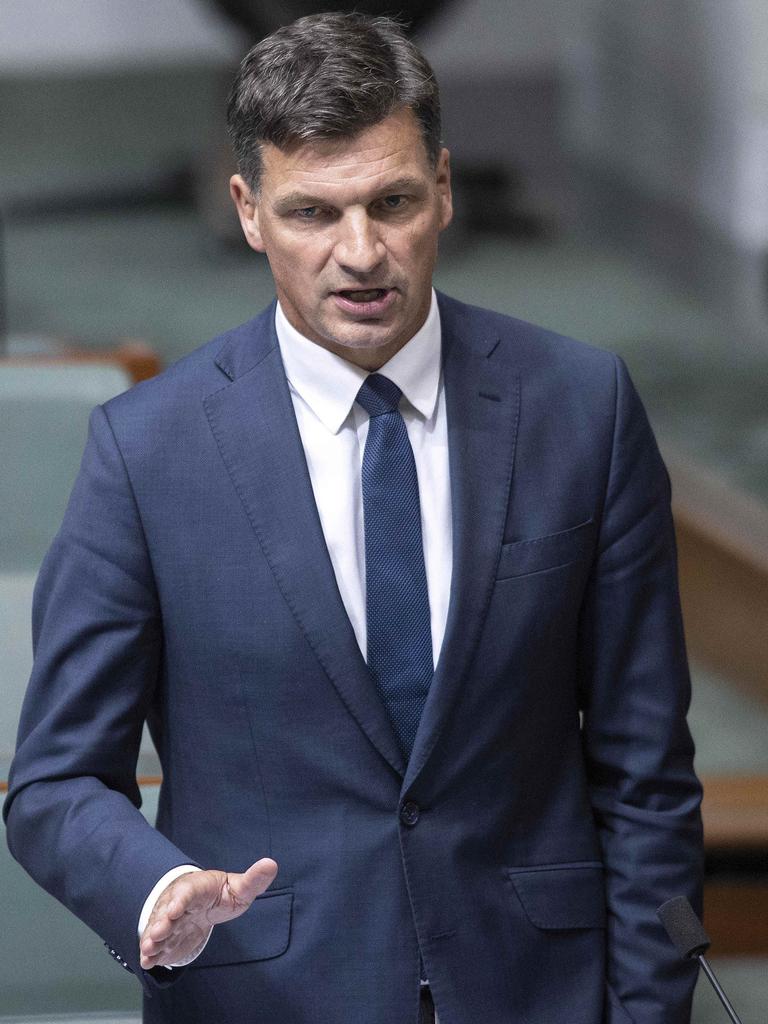 Energy Minister Angus Taylor. Picture: NCA NewsWire/Gary Ramage