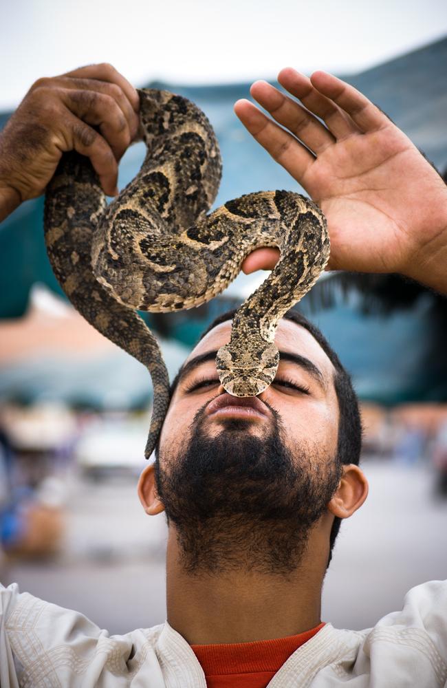 You’ll have to bargain hard with the snake charmers if you want to get a pic to put on the ‘gram. Picture: istock