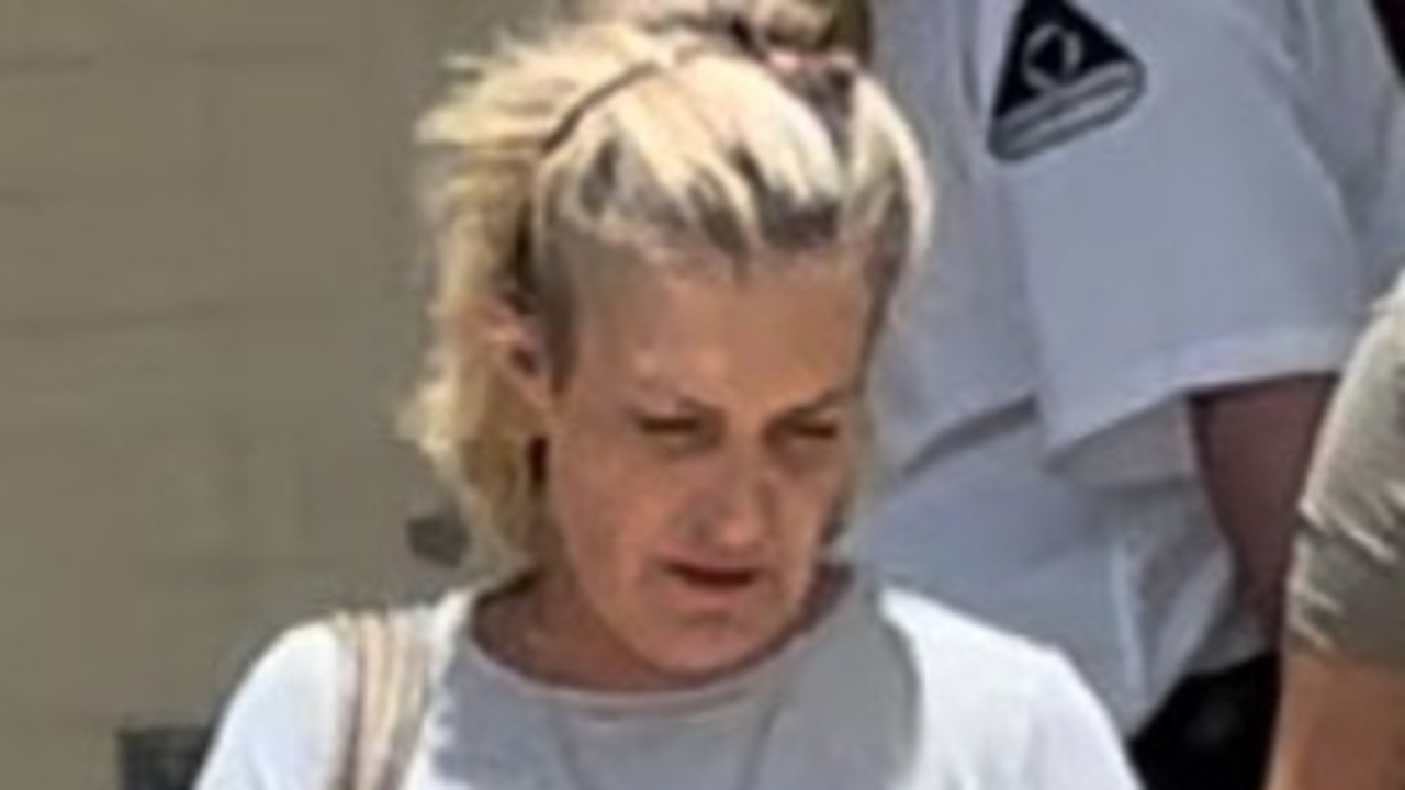 Shaneen Joyce Skerman pleaded guilty to public nuisance, assaulting police, obstructing police and wilful damage of police property when she faced Maryborough Magistrates Court on Tuesday.