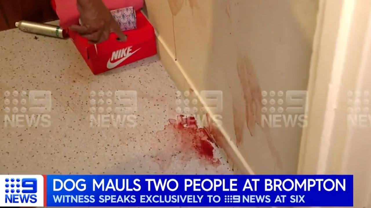 Two people were hospitalised after the attack. Picture: 9 NEWS