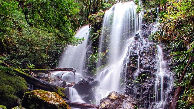 Chalahn Falls in the Lamington National Park.