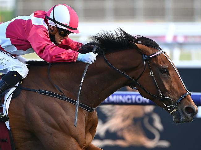 MELBOURNE, AUSTRALIA - NOVEMBER 07: Luke Currie riding #9 Arcadia Queen wins race 8, the Seppelt Mackinnon Stakes during 2020 Seppelt Wines Stakes Day at Flemington Racecourse on November 07, 2020 in Melbourne, Australia. (Photo by Quinn Rooney/Getty Images for the VRC)