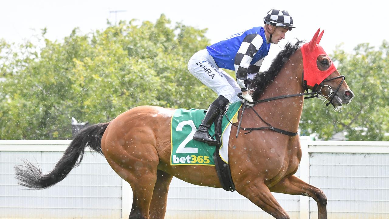 Ashrun (FR) on the way to the barriers prior to the running of the bet365 Geelong Cup at Geelong Racecourse on October 25, 2023 in Geelong, Australia. (Photo by Pat Scala/Racing Photos via Getty Images)