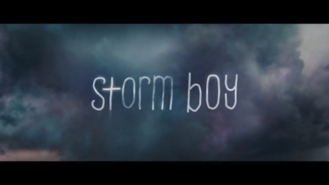 The new Storm Boy