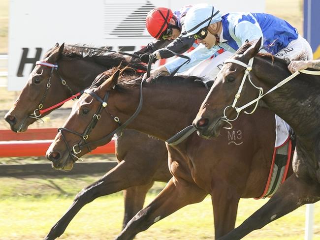 Mazita (centre) scotred his maiden win at Muswellbrook in May and returns for his first-up run on Sunday. Picture: Bradley Photos