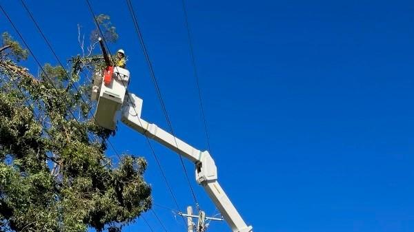 Energex work to restore thousands of damaged power lines across Southeast Queensland following the Christmas Day storm