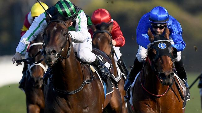 Addictive Nature is putting together a good record and will be right in the mix again on Saturday.