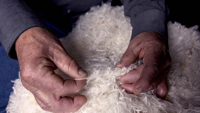 Demand for super fine Merino wool fluctuates with global suit consumer trends. Picture: Nicole Cleary