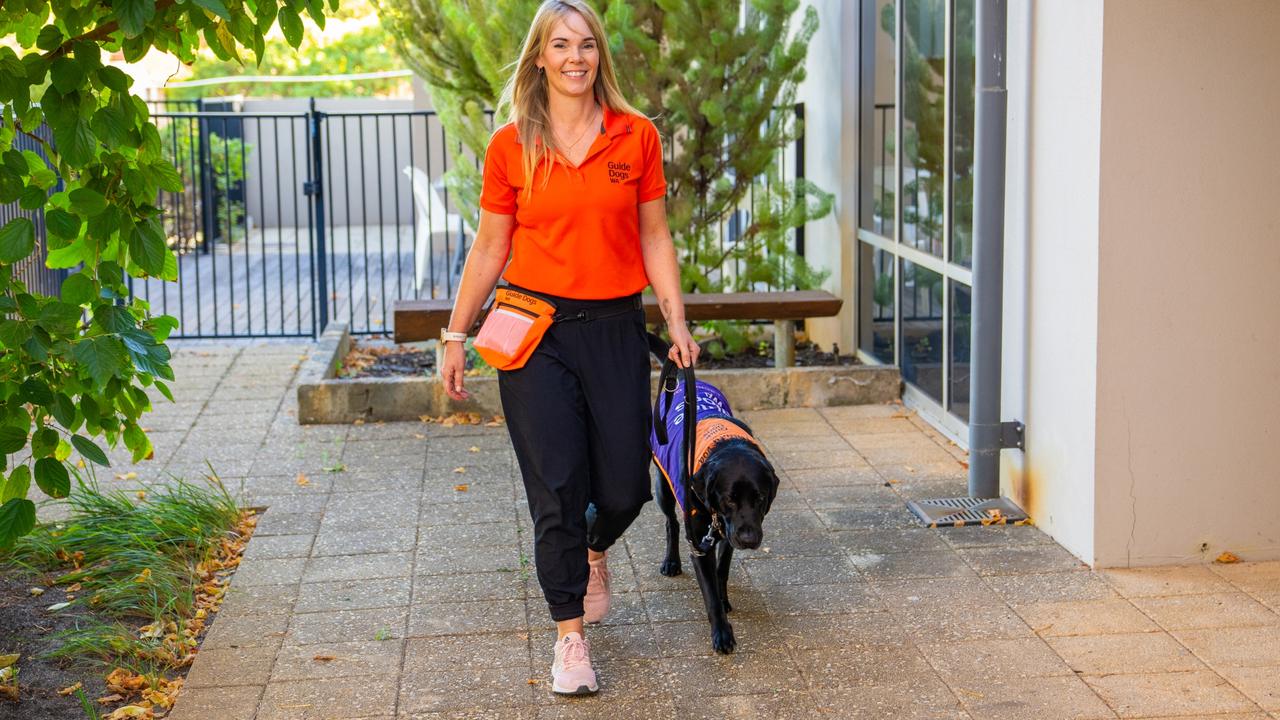 Winston with dog handler Katie Crawford.