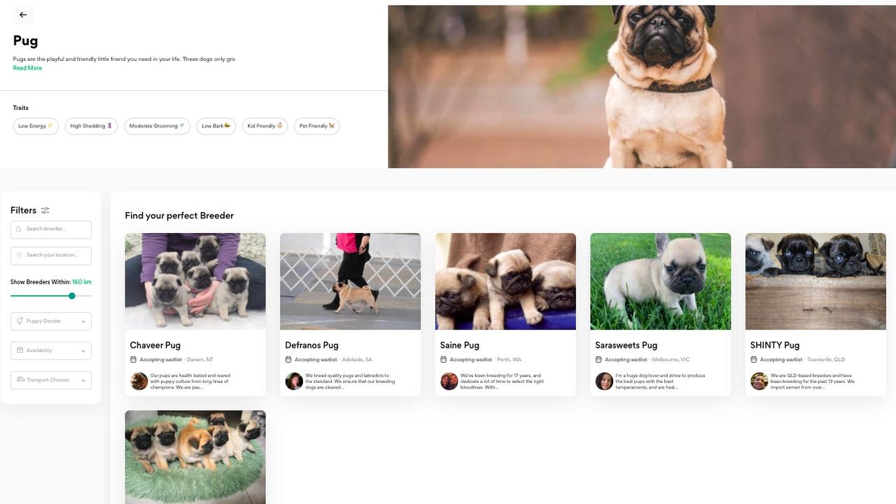 An example of how to use PETspot if, for instance, you wanted to purchase a pug breed.