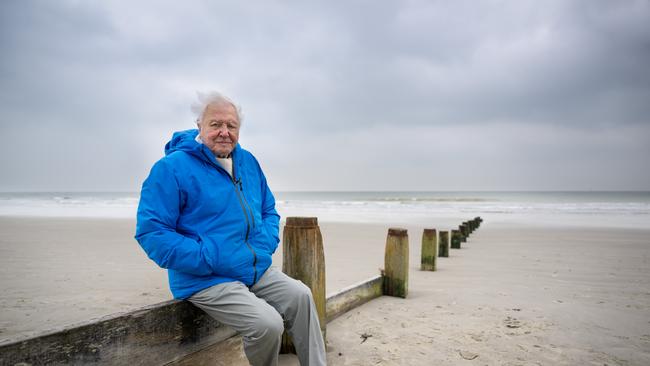 Sir David Attenborough looks out to sea in Southern England. Photo by Conor McDonnell