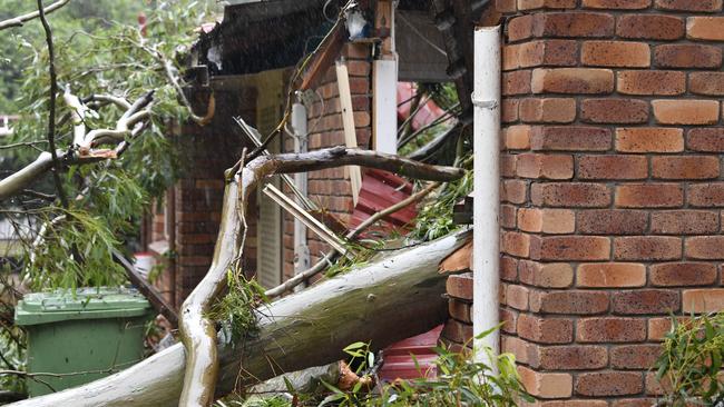 A house in Highfields is damaged by a falling tree as the aftermath of TC Alfred impacts Toowoomba, Sunday, March 9, 2025. Picture: Kevin Farmer