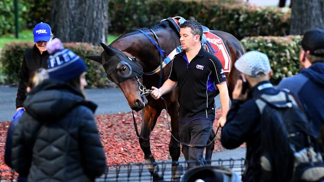 Winx was the star attraction at Moonee Valley on Tuesday.