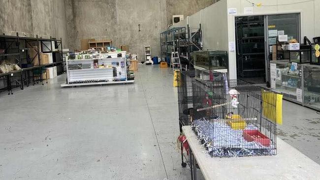 Photos provided by Family Pet and Aquarium days after the company was placed in liquidation. Picture: Supplied