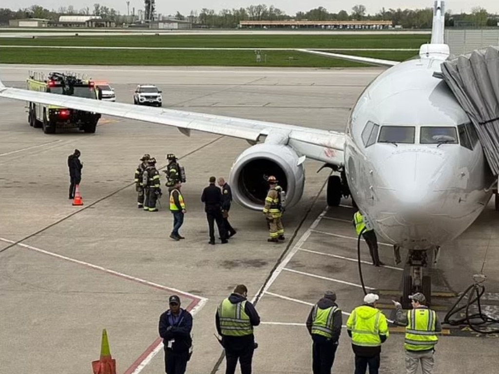 A flock of geese were sucked into the engine of the plane. Picture: Twitter