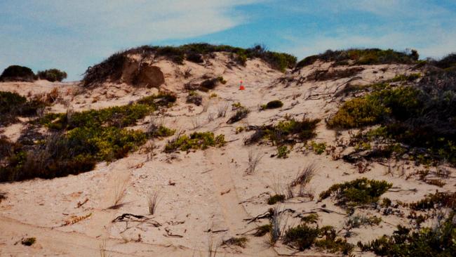 A shot of sand dunes at Salt Creek.