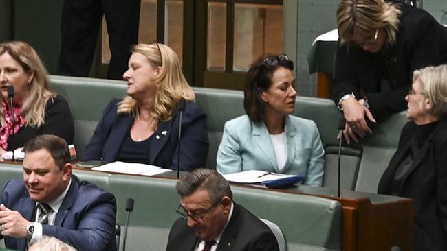 Teals Kylea Tink and Sophie Scamps, centre, join with the Greens to accuse Israel of war crimes. Picture: NCA NewsWire / Martin Ollman