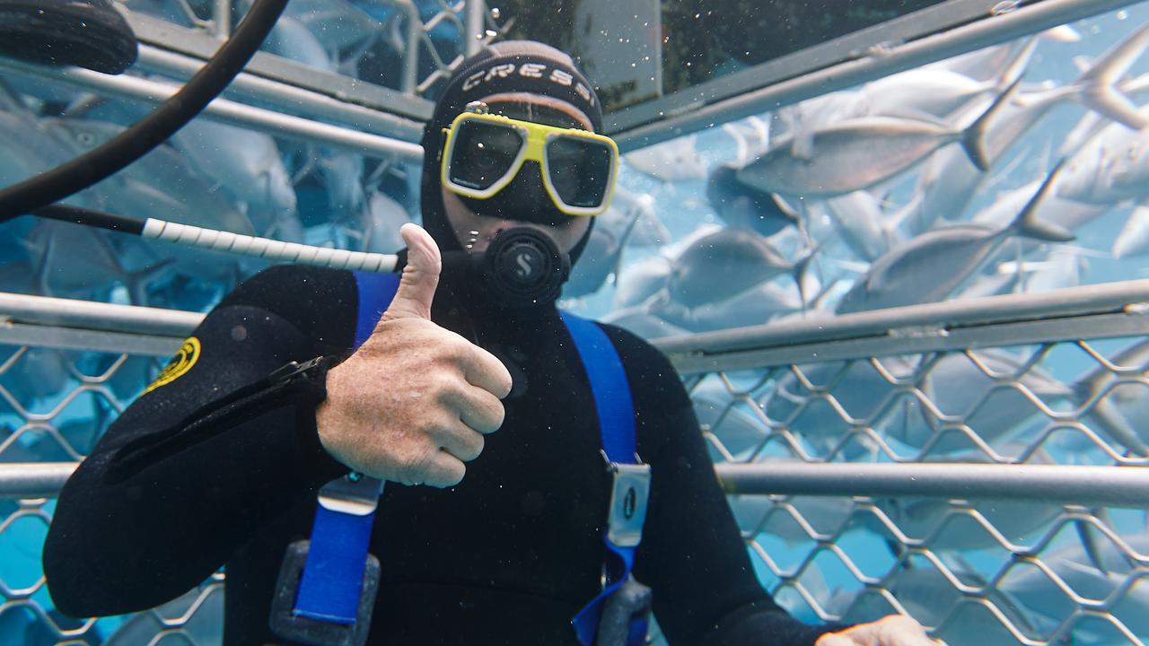 LIV Golf CEO Greg Norman Shark Cage Dive experience in the Eyre Peninsula ahead of this weekend's LIV Golf Adelaide