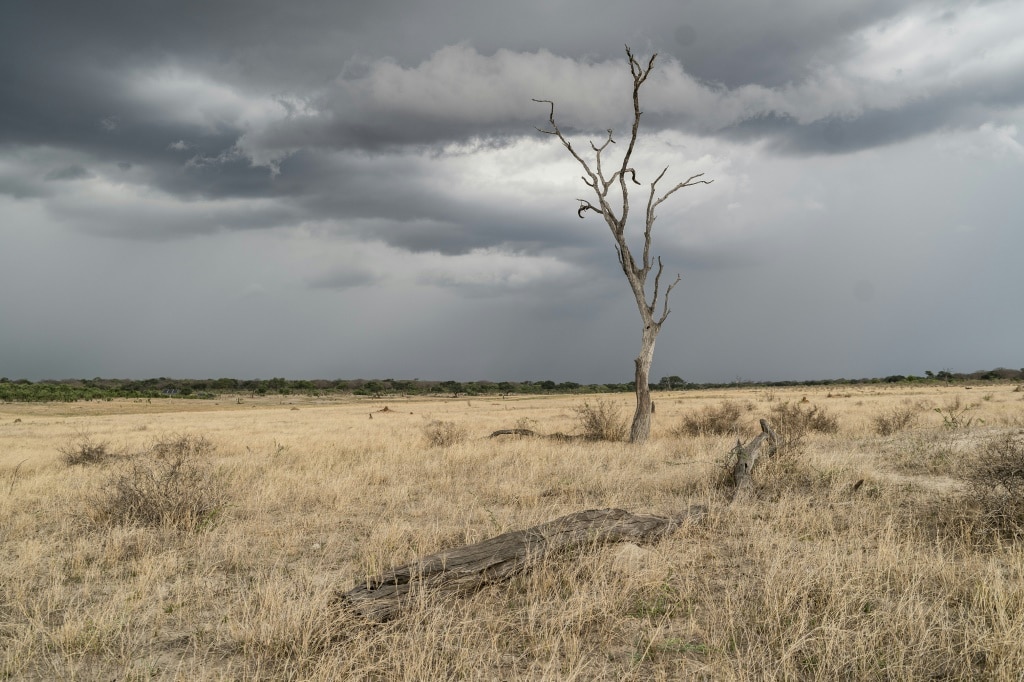 Zimbabwe declares El Nino drought a national disaster | Daily Telegraph