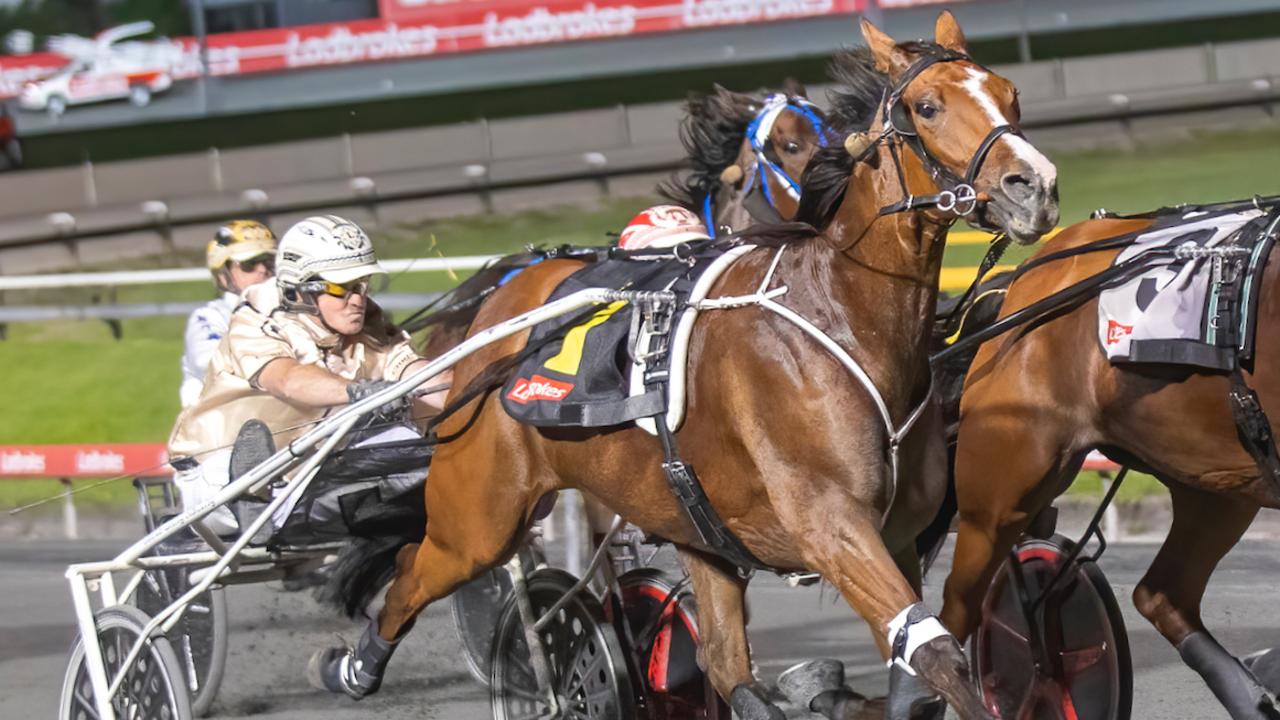 Trotting star’s return caps big week for newly inducted legend