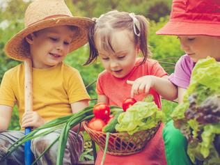 The new attractions featured in this year’s Easter Show, that runs from April 6- 19 at Sydney Showground, includes “Little Hands On The Land”, a kid-sized working farm aimed at teaching our children all about agriculture from the crop to the shop.