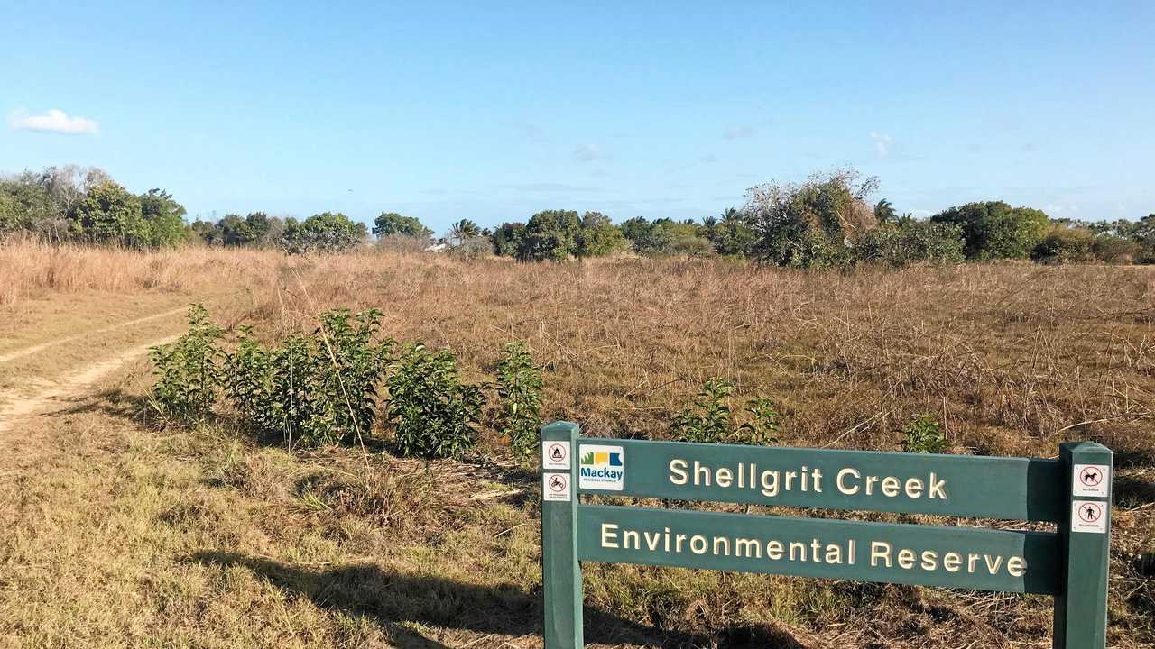 Shellgrit Creek, Mackay. Picture: Contributed.