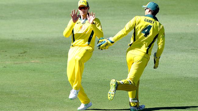 Alex Carey offloads the ball to Steve Smith of Australia during the World Cup practice match between Australia and New Zealand at Allan Border Field.