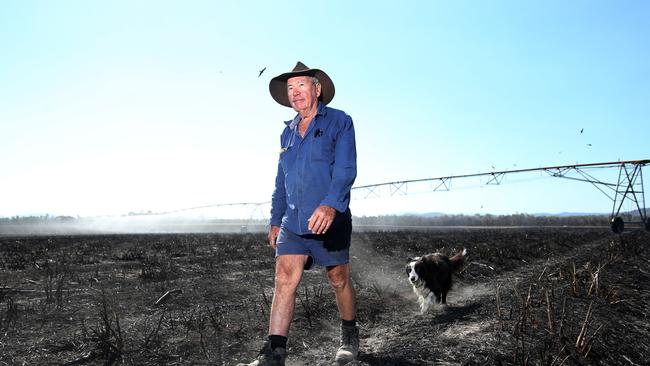 Biboohra sugar cane farmer George Adil and his dog in his burnt out cane field. PICTURE: STEWART MCLEAN