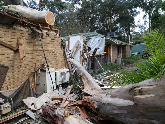 MELBOURNE, AUSTRALIA - NewsWire Photos 03 AUGUST 2022 :  Workers clean up at a house in Menzies Creek in the eastern suburbs after wild winds brought down trees and powerlines throughout  the night and early this morning. Picture : NCA NewsWire / Ian Currie