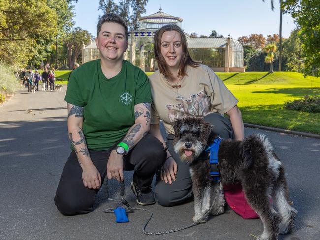 RSPCA SA's Million Paws Walk in Adelaide on May 25, 2025. Picture: Ben Clark