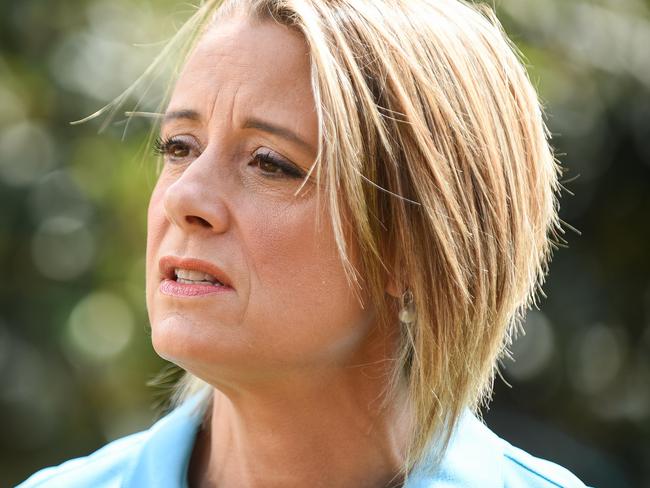 SYDNEY, AUSTRALIA - NewsWire Photos MARCH 07, 2021: Shadow Minister for Government Accountability, Kristina Keneally holds a press conference at Barangaroo Reserve. Picture: NCA NewsWire/Flavio Brancaleone