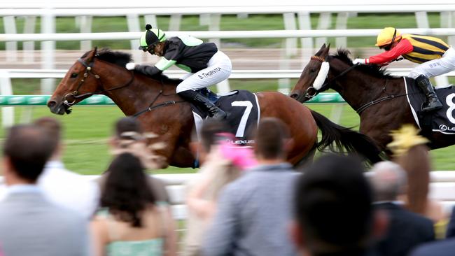 Trainers will have their Work Cover premiums subsidised under a new plan by Racing Queensland. Picture: Steve Pohlner