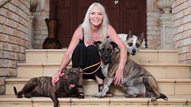 Debbie Moodie at her home with some of the stray dogs she is housing. Picture: Adam Yip