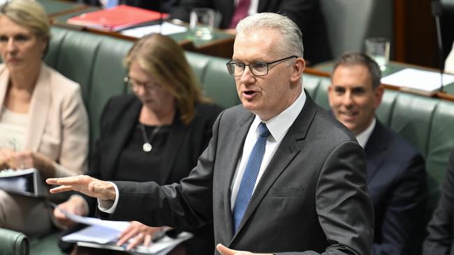 CANBERRA, AUSTRALIA  - NewsWire Photos - February 13, 2025:  Minister for Home Affairs and Minister for the Arts, Tony Burke during Question Time at Parliament House in Canberra. Picture: NewsWire / Martin Ollman