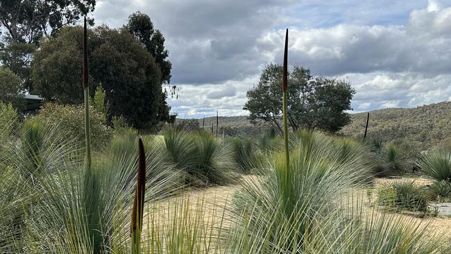 Michael Wright and his wife Catherine Rush are the owners and designers of this garden in Glenluce in Victoria. Picture: Michael Wright