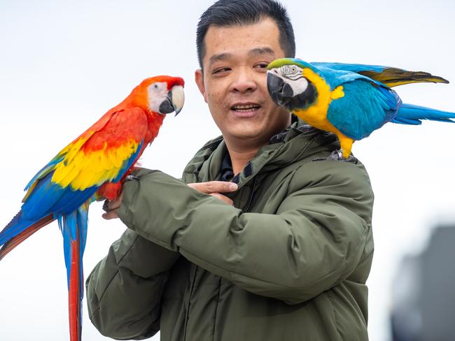 Ngo Duy Tam with his macaws Coco (left) and Bosco. Picture: Jake Nowakowski