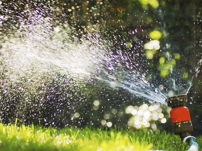 Grass sprinkler and hose CREDIT THINKSTOCK