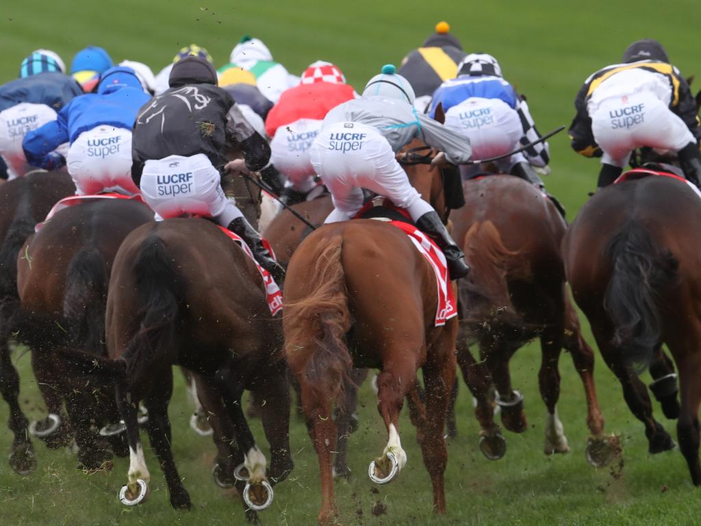 Echuca hosts the only Victorian meeting on Monday.