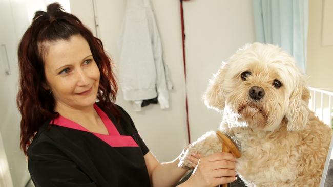 Penella Etyngold from PenPoochies Doggie Hairdresser in Beaumaris with Lily. Picture: Norm Oorloff