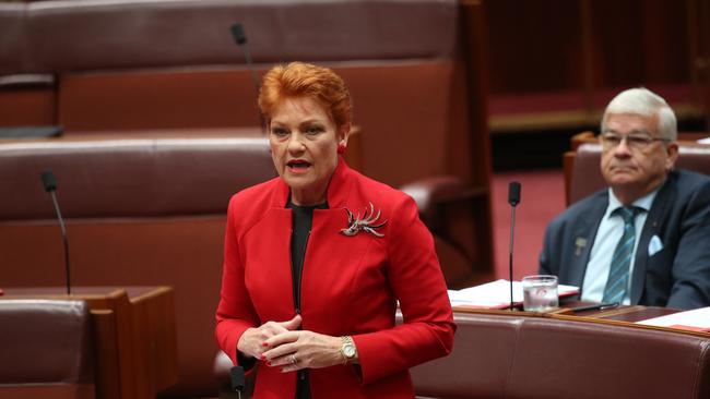 Minor parties such as Pauline Hanson’s One Nation are here to stay in the Senate.