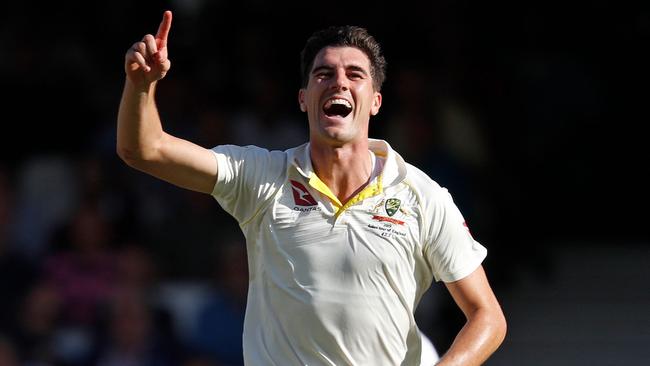 Pat Cummins has bowled more overs this Ashes series than everyone except spinner Nathan Lyon.