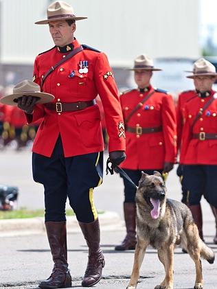 RCMP Constable David Ross’s Dog Whimpers At Moncton Funeral Of Murdered ...