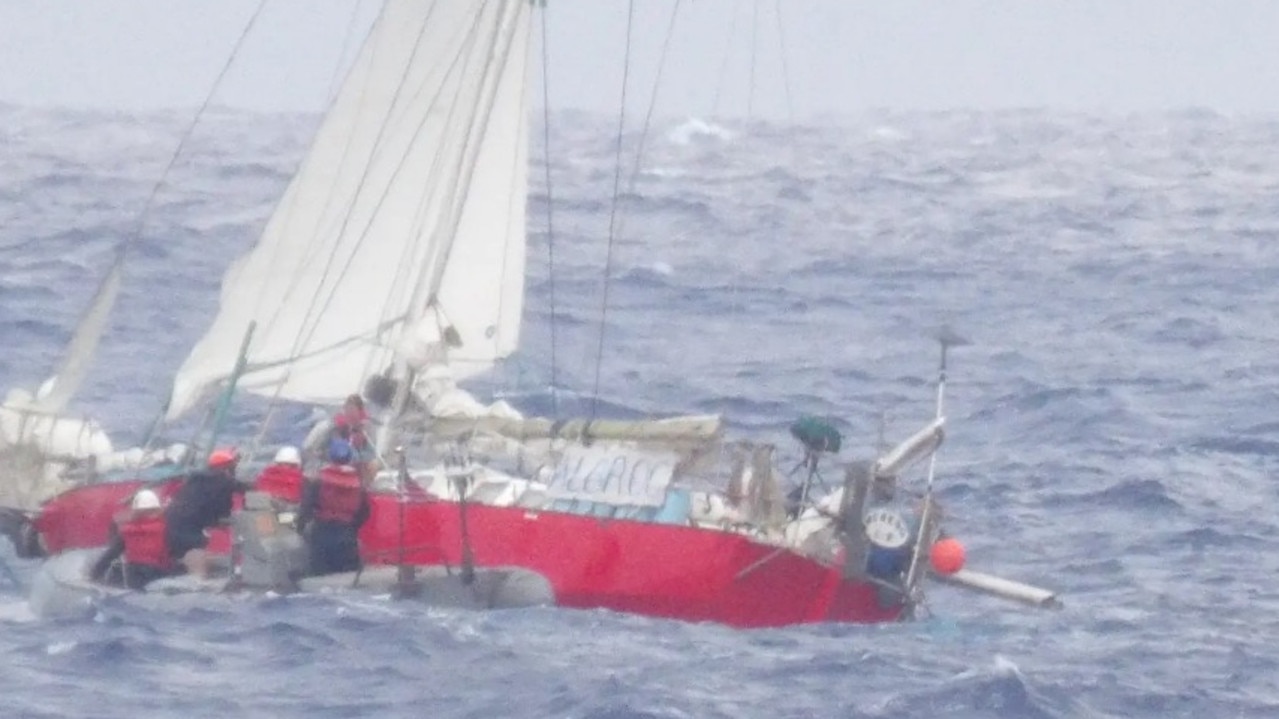 Mother, child, tortoise, and cat rescued 1,500km off Hawaii coast during Hurricane Gilma